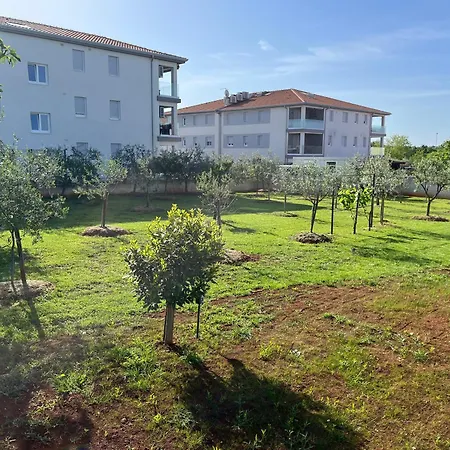 M&m Terzic Apartament