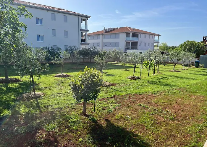 M&m Terzic Apartament